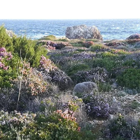 Ficula Nou Beachfront With Private Pool Villa *