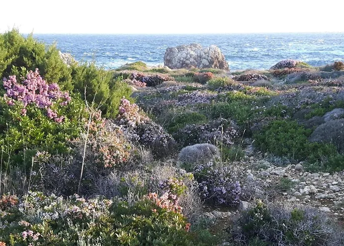 Ficula Nou Beachfront With Private Pool Вилла *