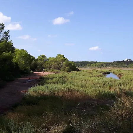 Villa Ficula Nou Beachfront With Private Pool *