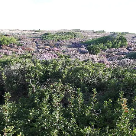 Ficula Nou Beachfront With Private Pool